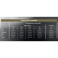 Бодістокінг у велику сітку Penthouse - Body Search Black S/L