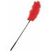 Перо страуса Sportsheets Ostrich Tickler Красное, для изысканных ласк