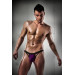 Мужские трусики слипы Passion 006 SLIP violet L/XL